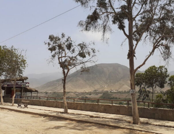 la-bella-vista-de-azpitia-pueblo-con-encantos-9